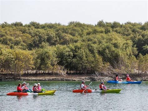 mangrove national park abu dhabi entrance fee